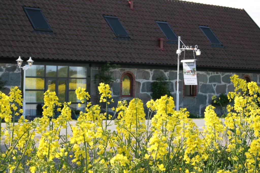 Blasingsborgs Gardshotell Pa Oesterlen ชีวิค ภายนอก รูปภาพ